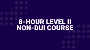8-hour Non-DUI Course