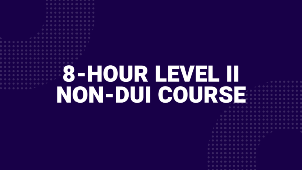 8-hour Non-DUI Course
